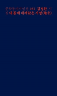 내 몸에 내려앉은 지명 (문학동네시인선 82)